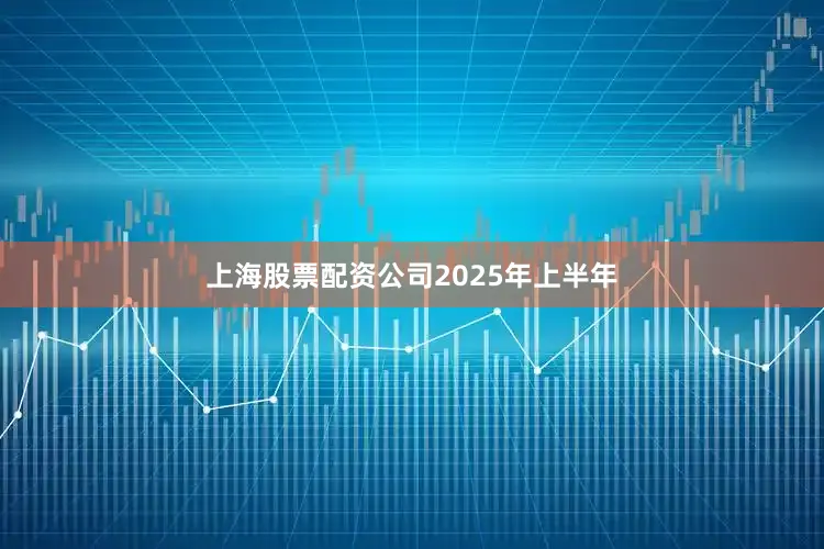 上海股票配资公司　　2025年上半年